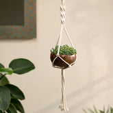 Coconut Shell macrame Hanging Planter for Indoor Plants & Succulents